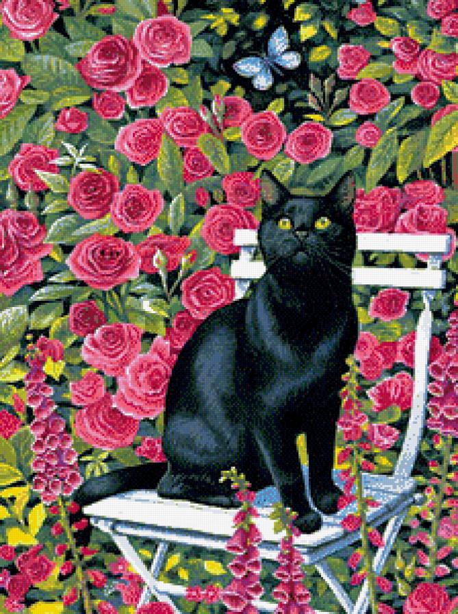 Черная кошка и бабочка - розы, кошка, животные, бабочка - предпросмотр