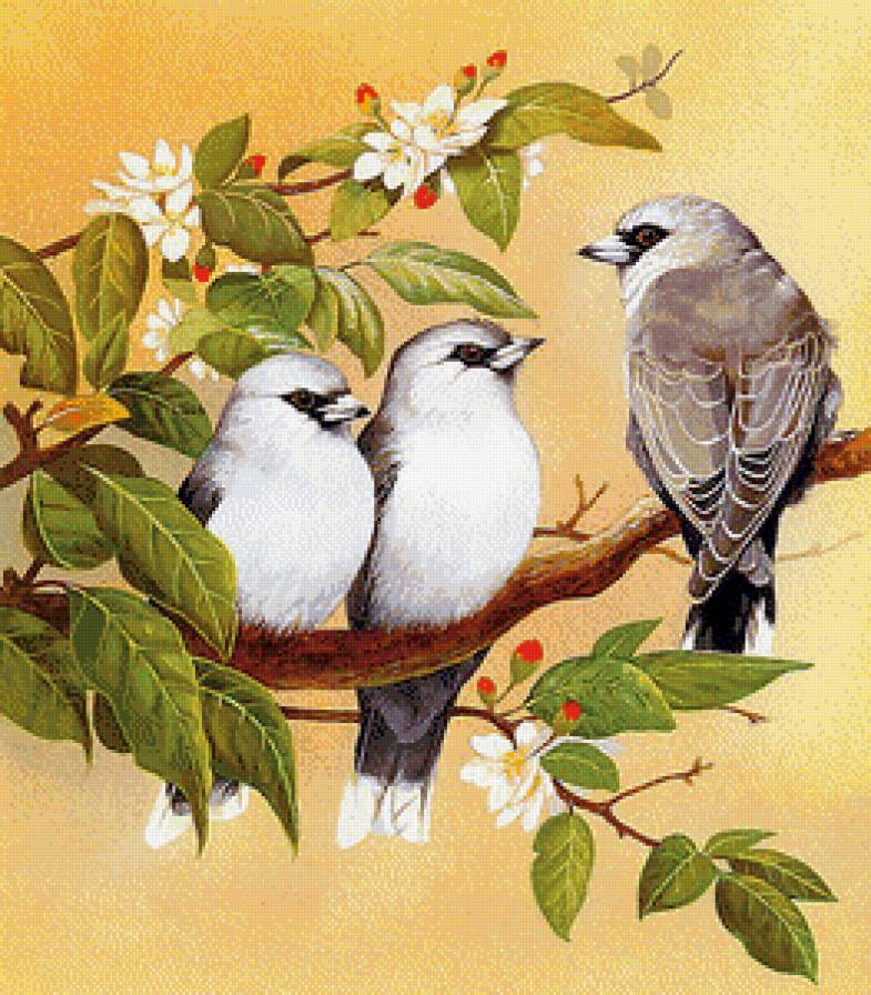 Птички - весна, птички, цветы - предпросмотр