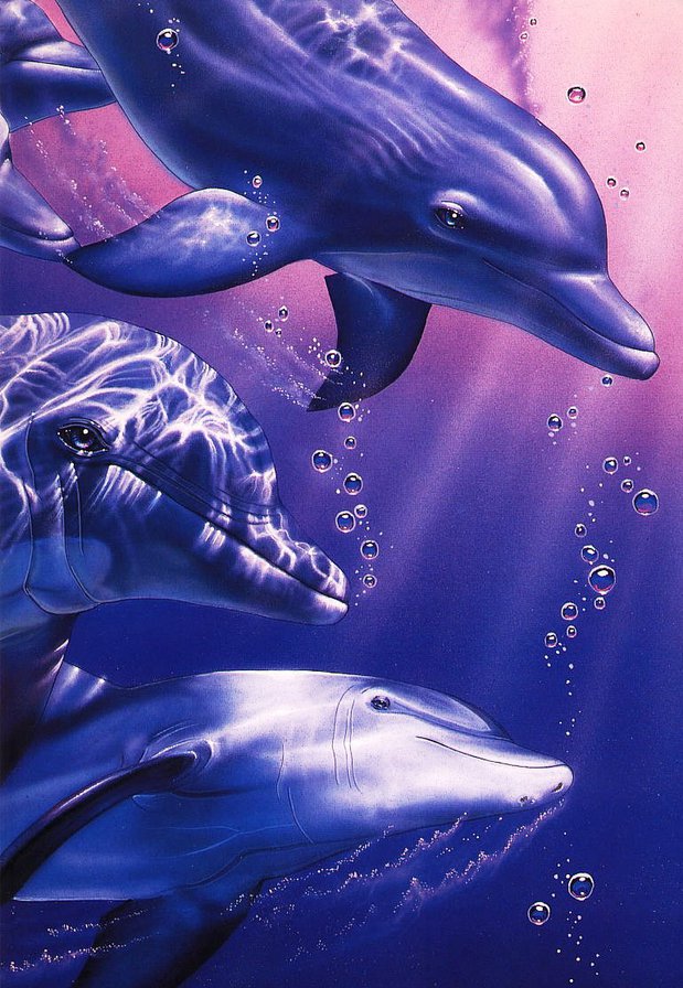 дельфины - природа, подводный мир, животные, рыбы - оригинал
