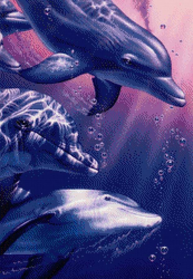 дельфины - подводный мир, животные, природа, рыбы - предпросмотр