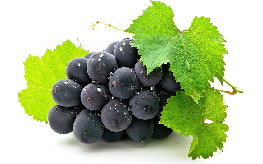 зрелый виноград - кухня, фрукты, ягоды, пано - оригинал