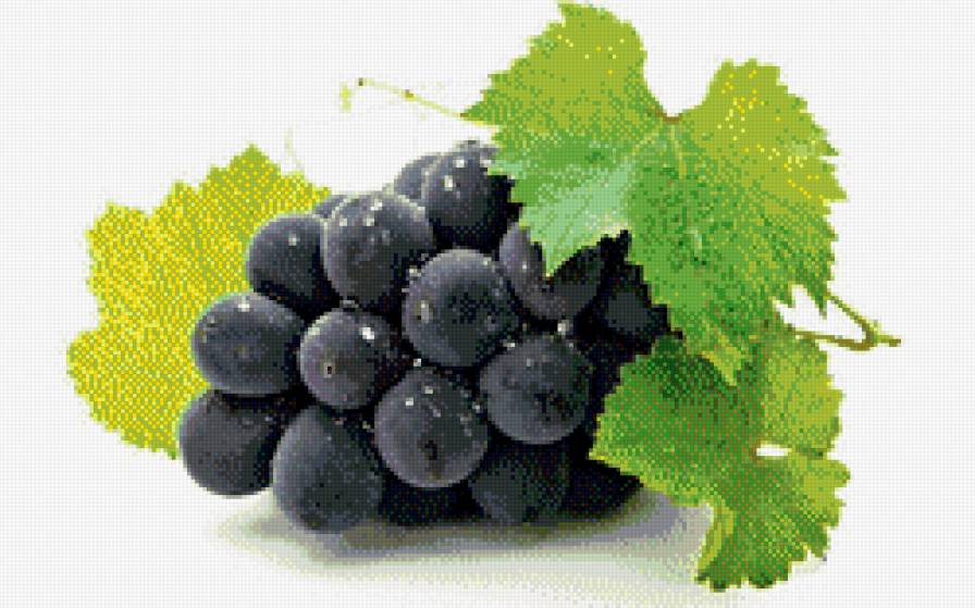 зрелый виноград - кухня, фрукты, ягоды, пано - предпросмотр