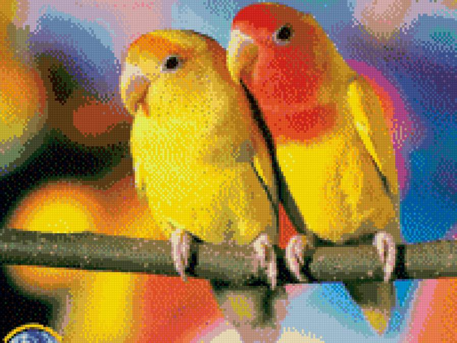 желтое солнце - птицы, попугаи - предпросмотр