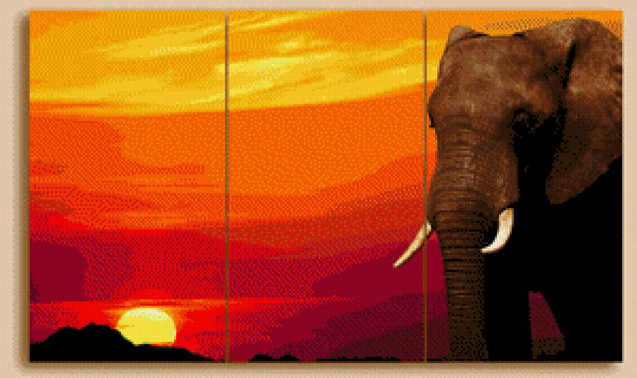 №563063 - триптих, слон, закат - предпросмотр