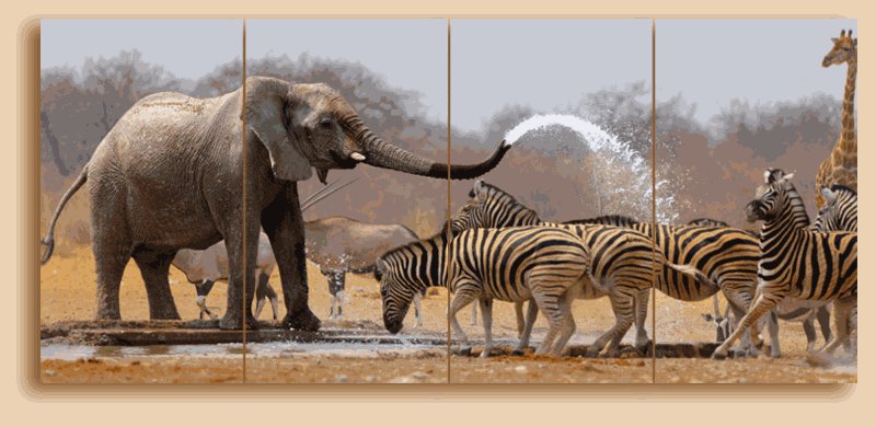 №563107 - жираф, зебра, слон, триптих - оригинал