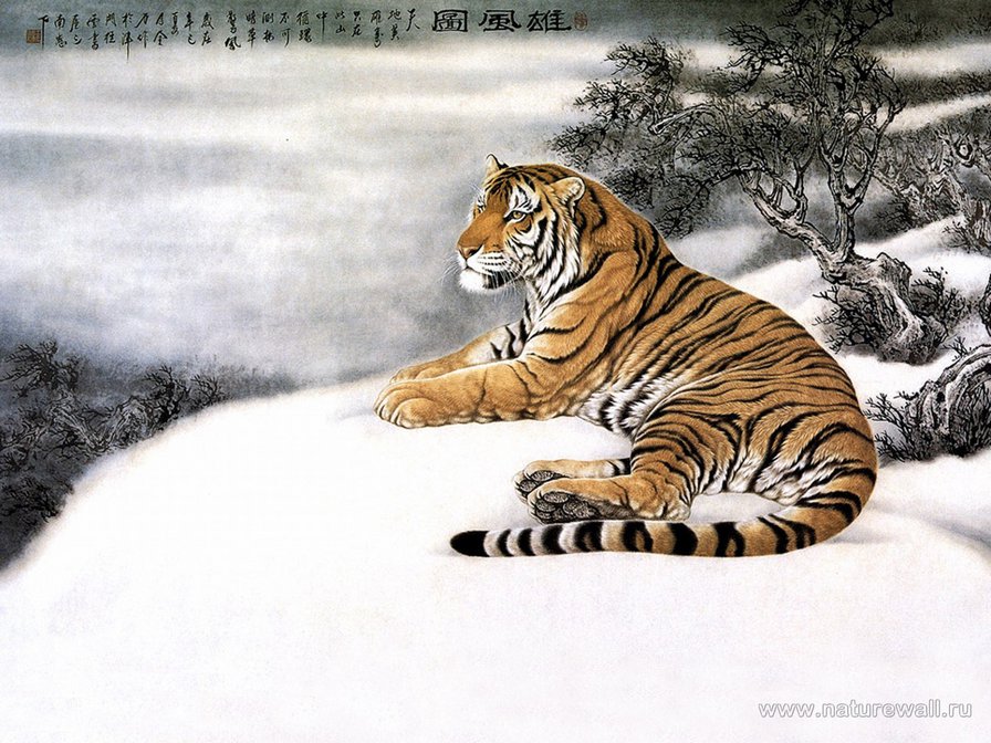 Китайский тигр - восток, животные, тигры, азия - оригинал