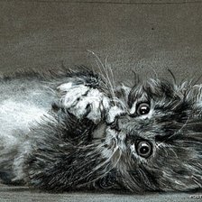 Оригинал схемы вышивки «котенок Мария Зельдис» (№564819)