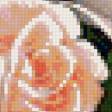 Предпросмотр схемы вышивки «Розы» (№564863)