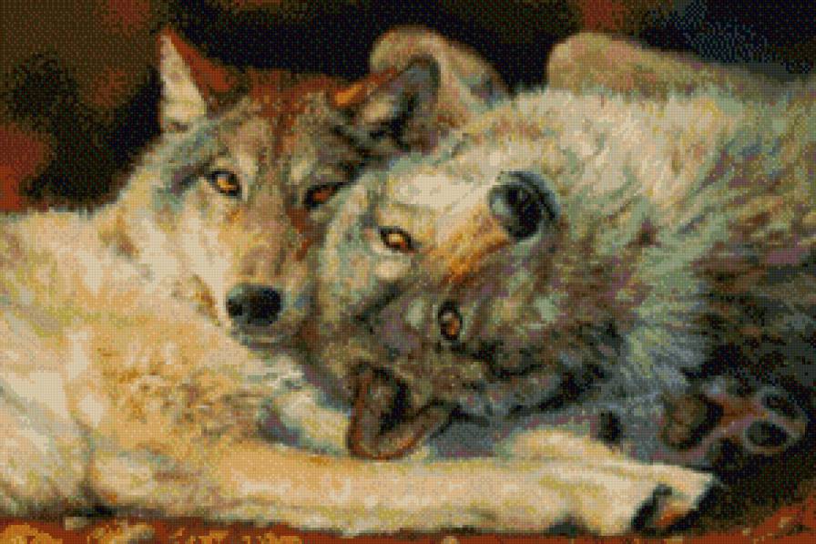 Волки Счастливая пара - волки - предпросмотр