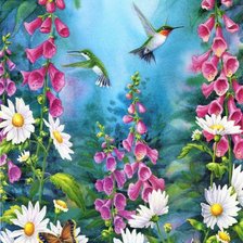 Оригинал схемы вышивки «колибри и цветы» (№565408)