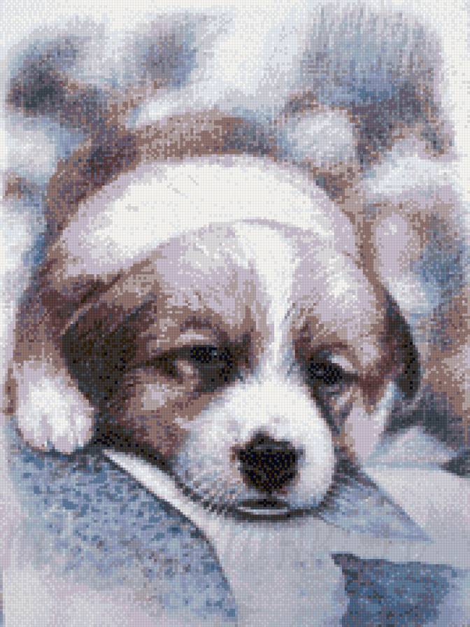 рисунок щенка - щенок, рисунок, собака - предпросмотр