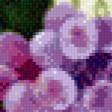 Предпросмотр схемы вышивки «пано виноград» (№566081)
