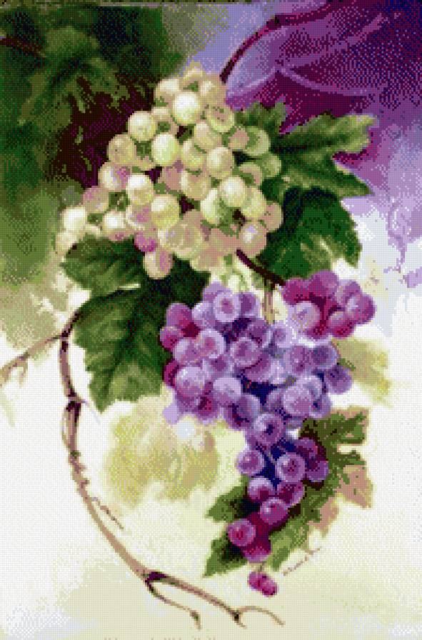 пано виноград - картина, пано, ягоды, виноград - предпросмотр
