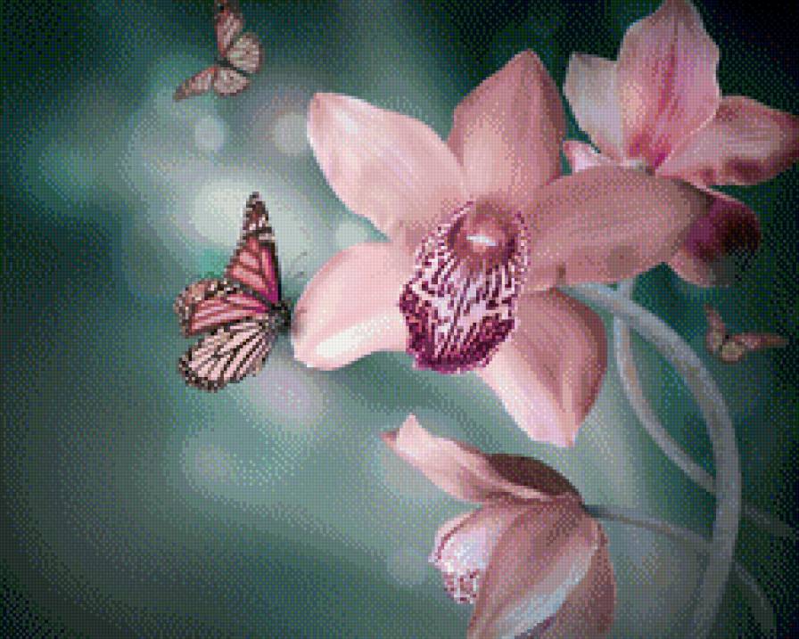 орхидеи и бабочки - цветы, букет, орхидеи, мотылек, бабочка, бабочки - предпросмотр