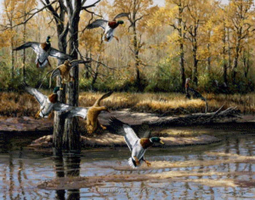 Утки - пруд, картина, пейзаж, утки - предпросмотр