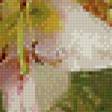 Предпросмотр схемы вышивки «Букет лилий» (№566733)
