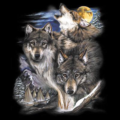 ночная песня - индейцы, хищник, волк, волки, песня, ночь, луна - оригинал
