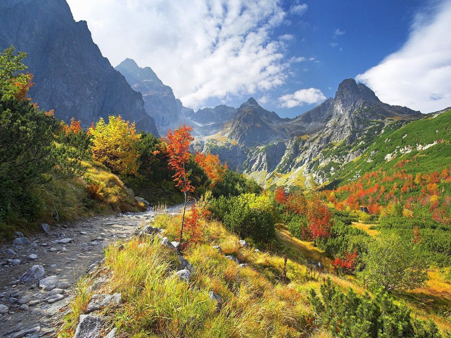 Осень в горах - горы, осень, пейзаж - оригинал