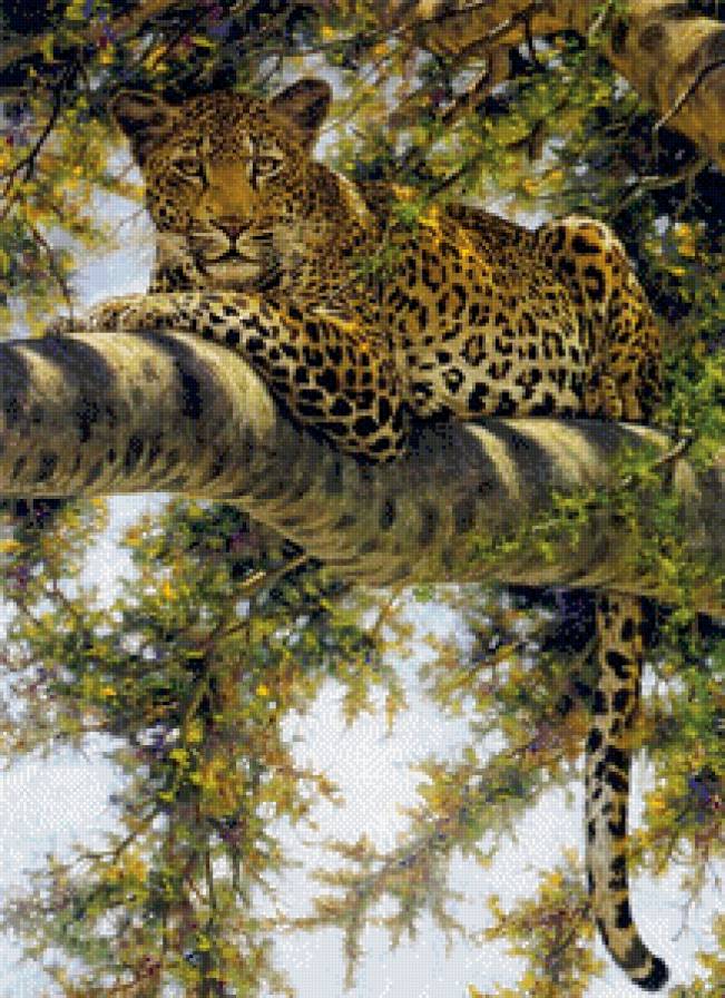 Леопард - леопард, животные, дикие кошки - предпросмотр