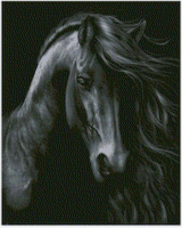 лошадь чёрная - лошадь, монохром - предпросмотр