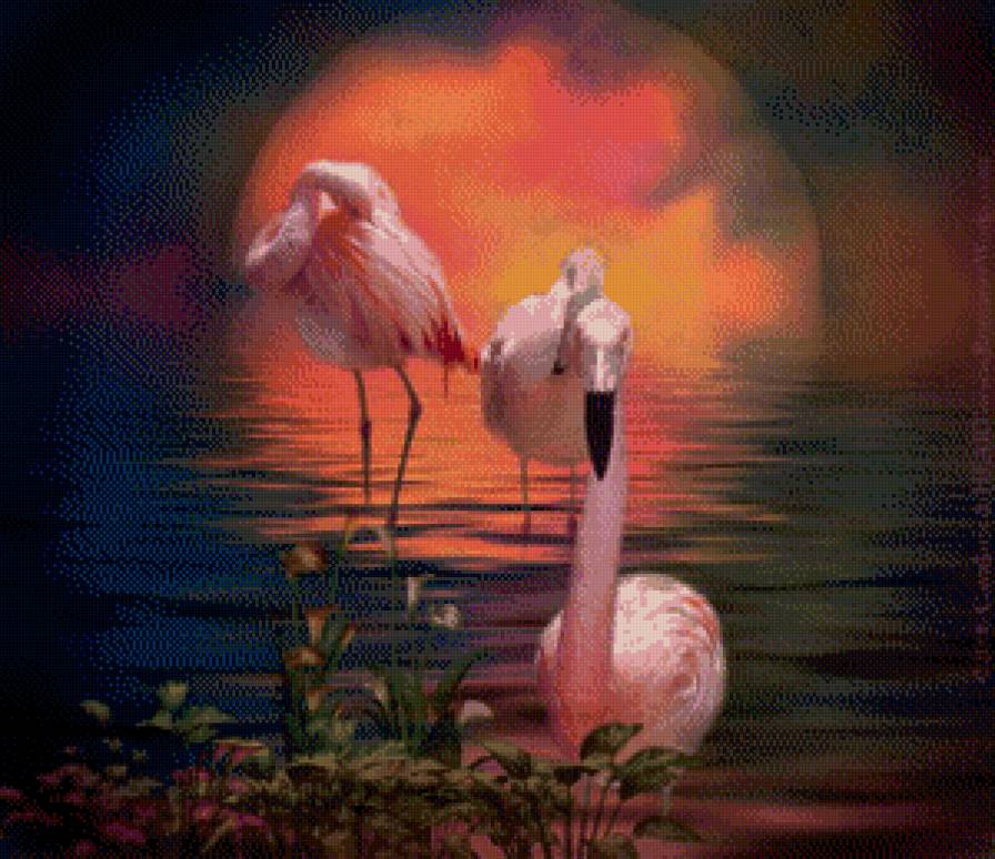 фламинго - фламинго, птицы - предпросмотр