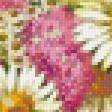 Предпросмотр схемы вышивки «полевые цветы» (№567735)