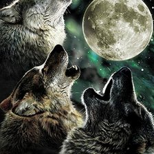 Волки