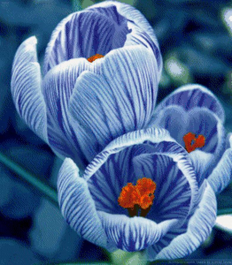 голубые цветы - цветы - предпросмотр