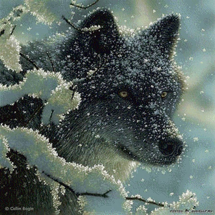 волк.. - картина, животные, зима, лес, волк, пейзаж, поляна, хищники, природа - предпросмотр