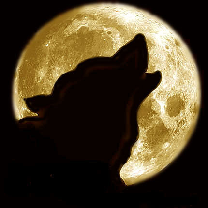 волк при луне монохром - луна, хищники, монохром, волк, чорнобелое - оригинал