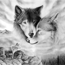 волки пара монохром
