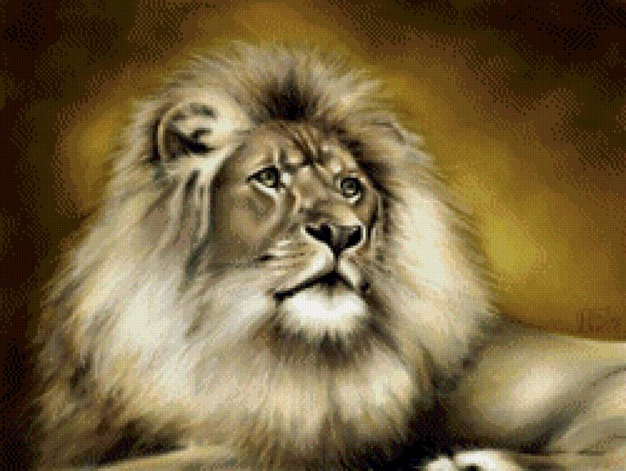 царь зверей - лев, животные - предпросмотр