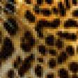 Предпросмотр схемы вышивки «африканский леопард» (№569208)