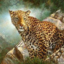 Оригинал схемы вышивки «африканский леопард» (№569208)