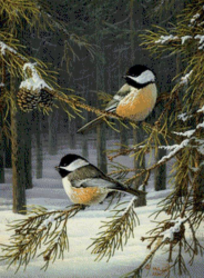 синички зимой - серия птицы, веточка, птичка, синичка, птички - предпросмотр