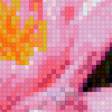 Предпросмотр схемы вышивки «Розовые лотосы» (№569743)