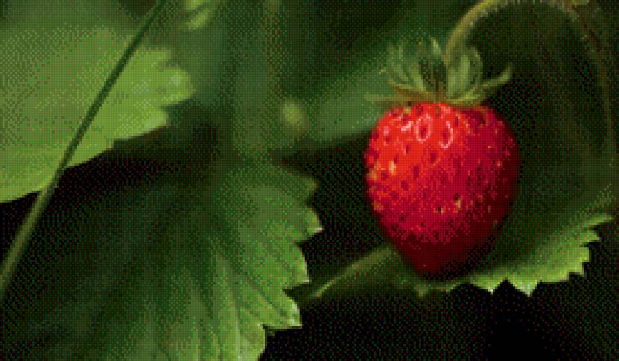 Земляника - ягоды, природа - предпросмотр