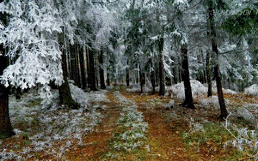морозная осень - пейзаж, зима, осень, природа - предпросмотр