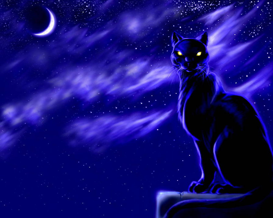 кошка - ночь, кот - оригинал