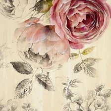 Оригинал схемы вышивки «Розы» (№572130)