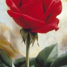 Оригинал схемы вышивки «красная роза» (№572221)