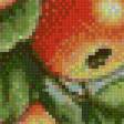 Предпросмотр схемы вышивки «яблоки» (№572231)