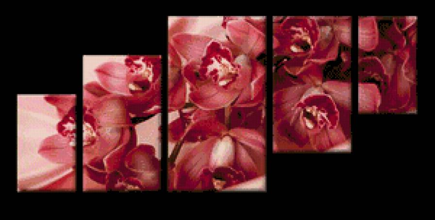триптих красная орхидея - триптих, орхидея, красная орхидея, цветы - предпросмотр