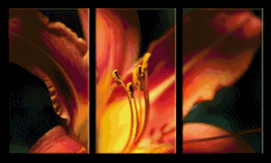 триптих лилия - цветы, лилия, триптих, на черном - предпросмотр