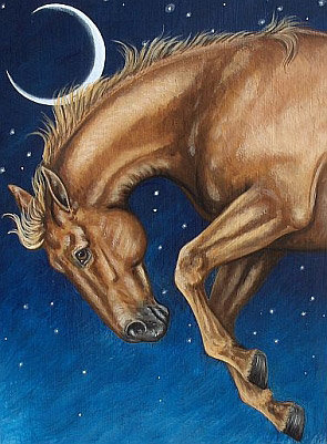 звёздный конь - домашние животные, лошади, конь, кони, лошадь, луна, ночь - оригинал