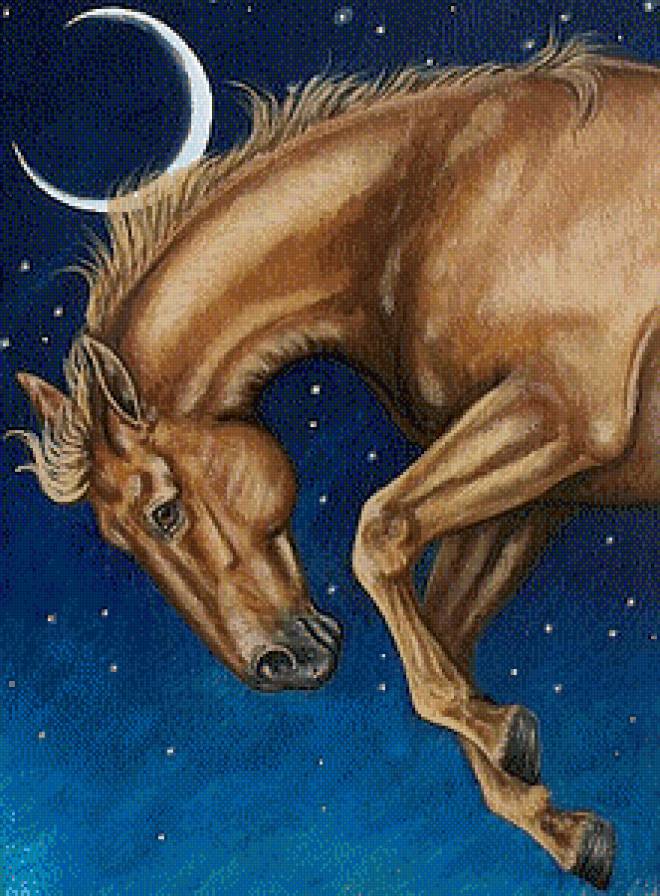звёздный конь - луна, лошади, кони, конь, домашние животные, ночь, лошадь - предпросмотр