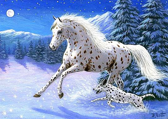 Быстрее ветра! - животные, зима, кони, лошади, пейзаж, елочки, собаки - оригинал