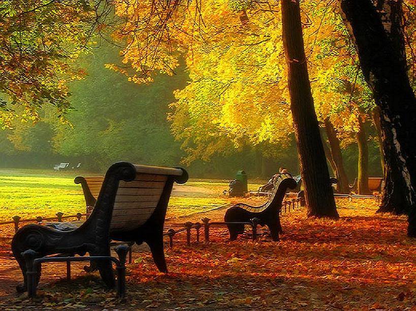 осень - парк, скамейка, осень - оригинал