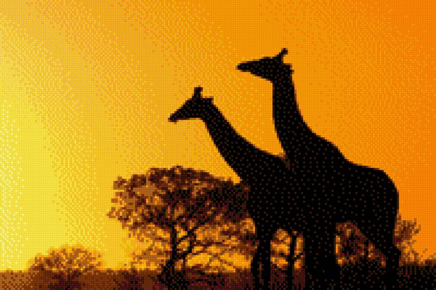 жираф - ночь, африка, жираф - предпросмотр