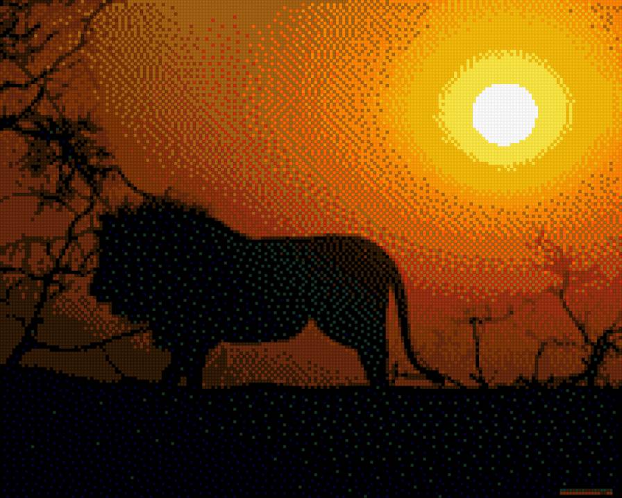 лев - ночь, африка, лев - предпросмотр